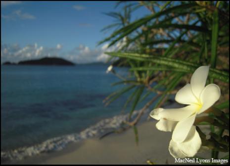 Cinnamon Bay Sunset - Copyright MacNeil Lyons Images