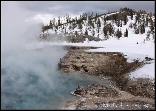 Excelsior Geyser Crater-Bald Eagle - Copyright MacNeil Lyons Images