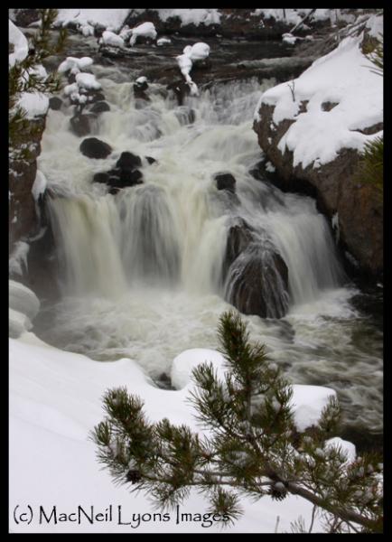 Firehole Happenings - (c) MacNeil Lyons Images