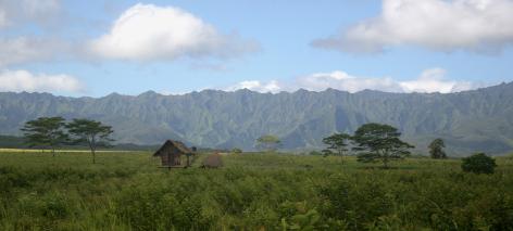 Kauai Country Side & Seattle Skyline - MacNeil Lyons Images