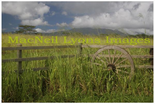 Kauai Countryside - Copyright MacNeil Lyons Images