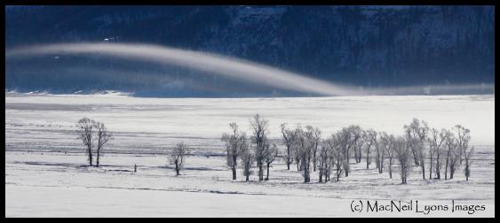 A Moment in The Lamar (c) MacNeil Lyons Images