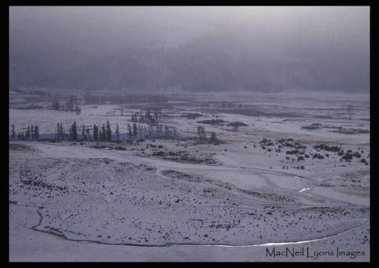 Secluded Valley Overlook - Copyright MacNeil Lyons Images