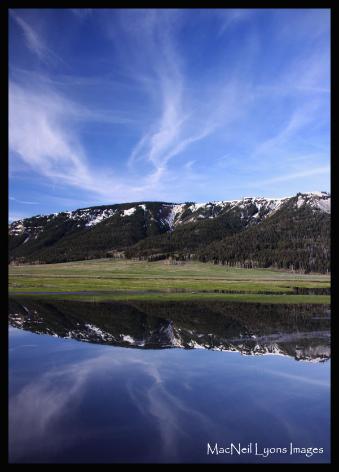 Reflections on The Lamar - Copyright MacNeil Lyons Images