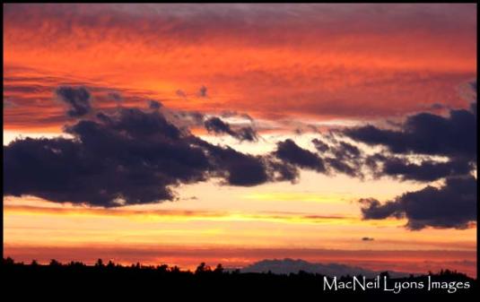 Lamar Valley Sunset + 