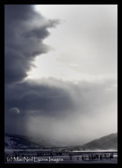 LamarValleyWinterScape/BullElk - Copyright MacNeil Lyons Images