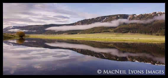 Reflections Along The Lamar - (c) MacNeil Lyons Images