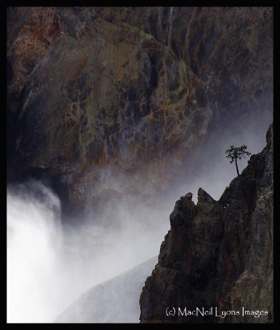 Isolation on the Grand Canyon - Copyright MacNeil Lyons Images