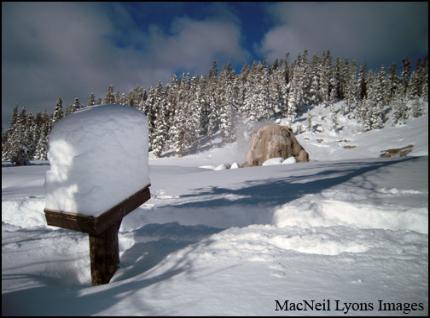 Lone Star Geyser Snow - Copyright MacNeil Lyons Images