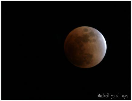 Lunar Eclipse Febuary 2008 - Copyright MacNeil Lyons Images