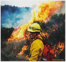 MacNeil on Perscribed Fire - MacNeil Lyons Images