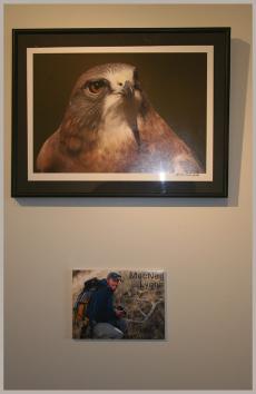 Watchful Eye & MacNeil Lyons