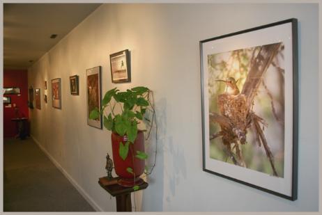 Crazy Mtn Digital Photography Gallery --- OPEN LATE Dec 7th!!!