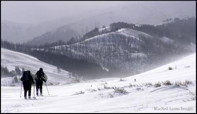 Mt Washburn Ski - Copyright MacNeil Lyons Images