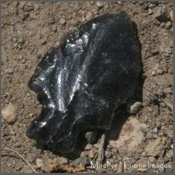 Obsidian Knife Blade - Yellowstone N.P.