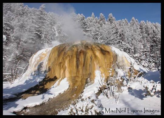 Orange Mound Spring - Copyright MacNeil Lyons Images