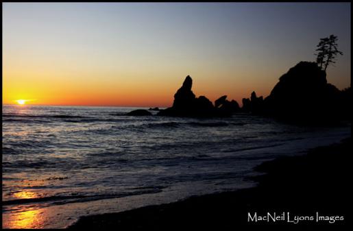 Shi Shi Beach, Olympic NP - Copyright MacNeil Lyons Images