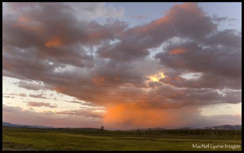 Swan Lake Sunset - Copyright MacNeil Lyons Images