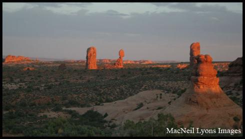 Abbey Country - MacNeil Lyons Images