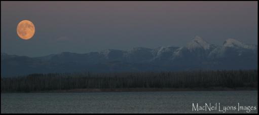 West_Thumb_Moon_Copyright_MacNeil_Lyons_Images