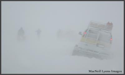 White Out on Swan Lake Flats - Feb 02, 2008