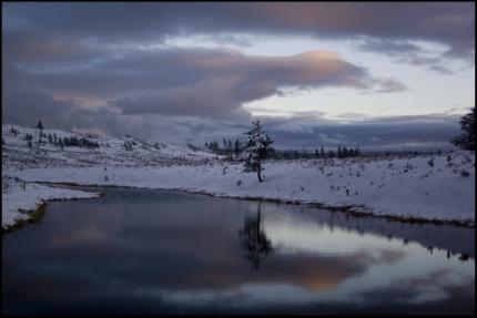 Winter Swan Cloud - Copyright MacNeil Lyons Images